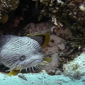 IMG 0428