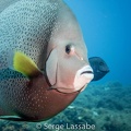 IMG 0567