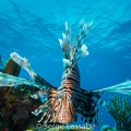 IMG 0848
