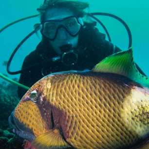 Maldive 2012